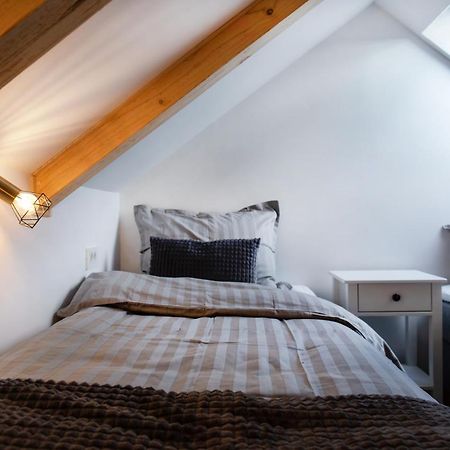 Bright & Spacious Loft In The Heart Of Old Town Любляна Экстерьер фото