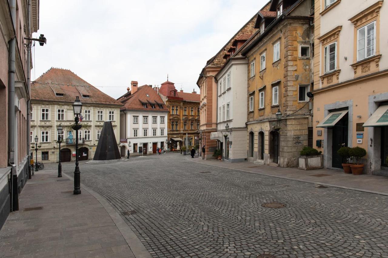 Bright & Spacious Loft In The Heart Of Old Town Любляна Экстерьер фото